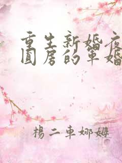 重生新婚夜正在圆房的军婚