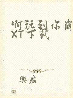 啊玩到你崩溃TXT下载