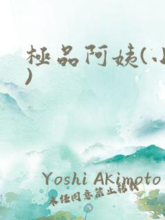 极品阿姨(小说)