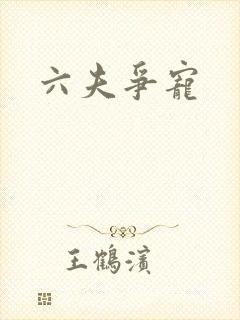 六夫争宠