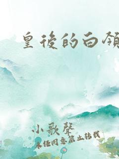 皇后的白领生活