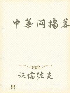 中华网揭幕内参