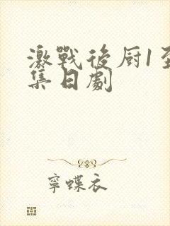 激战后厨1至5集日剧