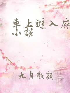 车上进入麻麻的小说