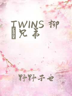 TWINS 柳澤兄弟