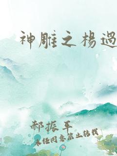 神雕之杨过新传