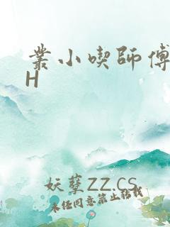 丛小吃师傅的HH