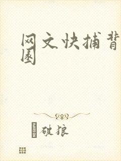 网文快捕背影家园