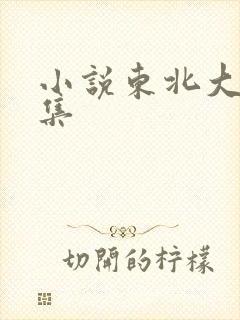 小说东北大炕全集