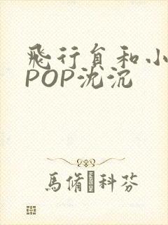 飞行员和小空乘POP沈沉