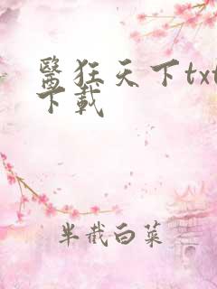 医狂天下txt下载