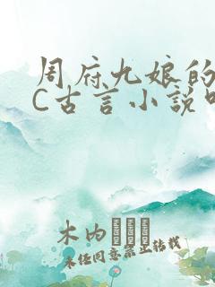 周府九娘的NPC古言小说叫什么
