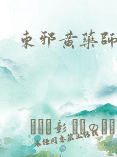 东邪黄药师本纪