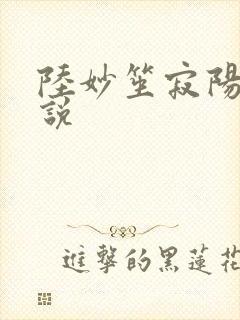 陆妙笙寂阳朔小说