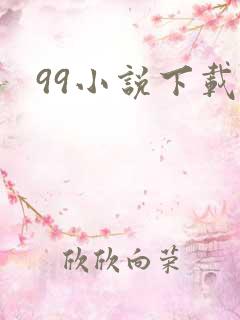 99小说下载网