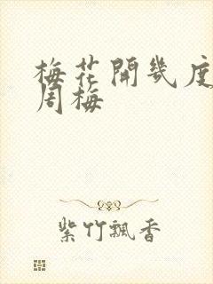 梅花开几度老张周梅