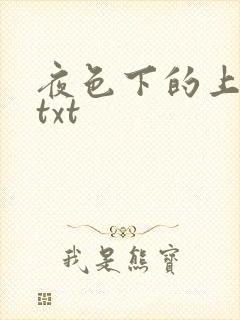 夜色下的上海滩txt