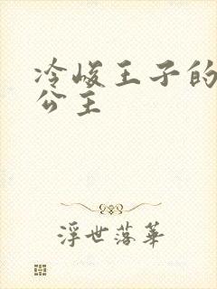 冷峻王子的完美公主