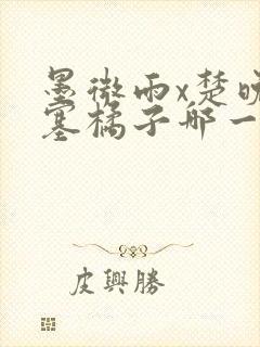 墨微雨x楚晚宁塞橘子哪一章