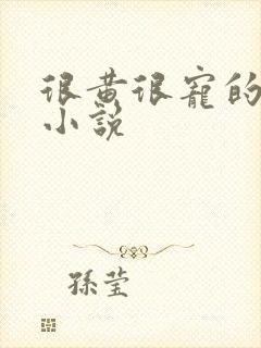 很黄很宠的总裁小说