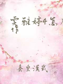 雯雅婷4怎么操作