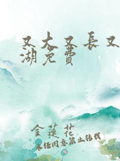 又大又长又租高湖免费