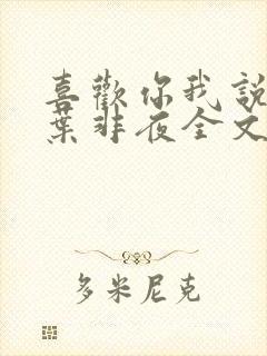 喜欢你我说了算叶非夜全文免费阅读