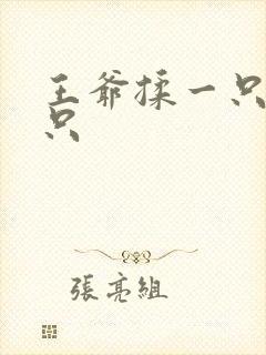 王爷揉一只舔一只