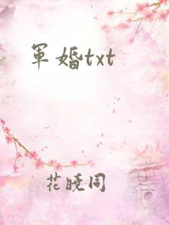 军婚txt