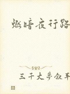 燃暗夜行路