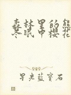 森林里的熊先生冬眠中樱花动漫