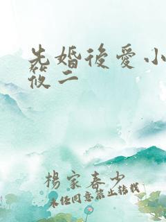 先婚后爱小说梦筱二