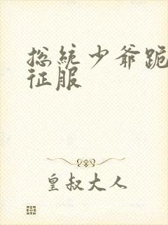 总统少爷跪地唱征服