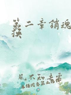 第二章销魂的交换