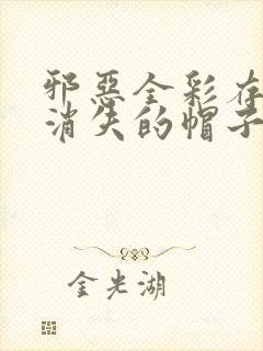 邪恶全彩存在感消失的帽子