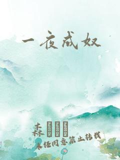 一夜成奴