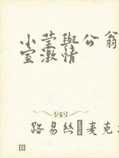 小莹与公翁办公室激情