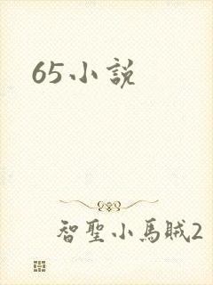 65小说