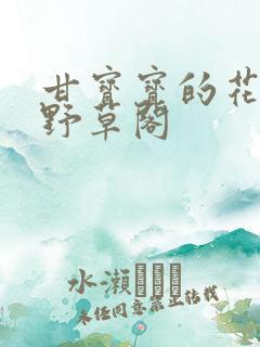 甘宝宝的花苞澜野草阁