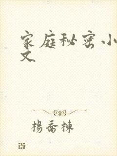 家庭秘密小说全文