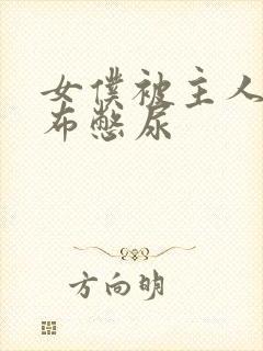 女仆被主人用胶布憋尿