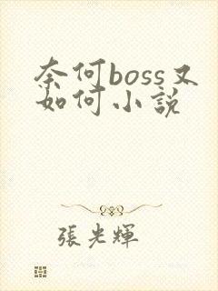奈何boss又如何小说