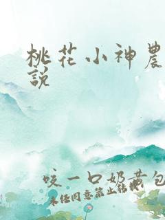 桃花小神农 小说