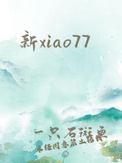 新xiao77