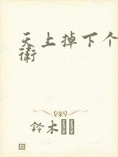 天上掉下个影卫卫