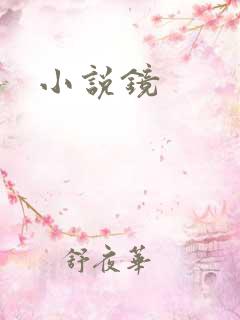 小说镜