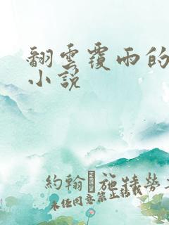 翻云覆雨的秘密小说