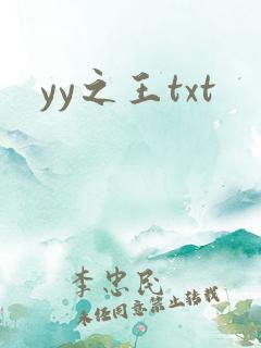 yy之王txt