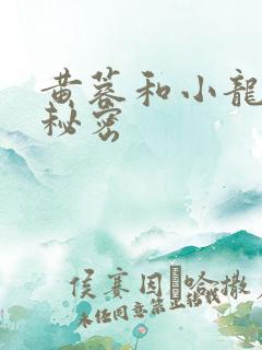 黄蓉和小龙女的秘密