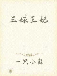 三嫁王妃